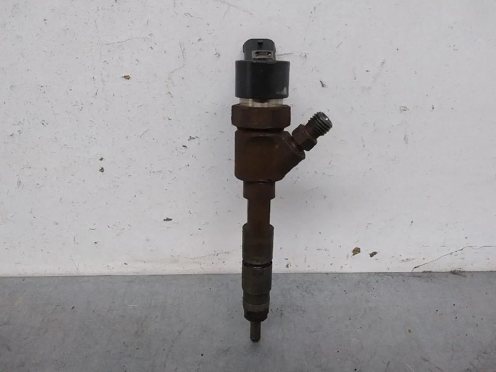 Inyector para Renault Scenic Ii