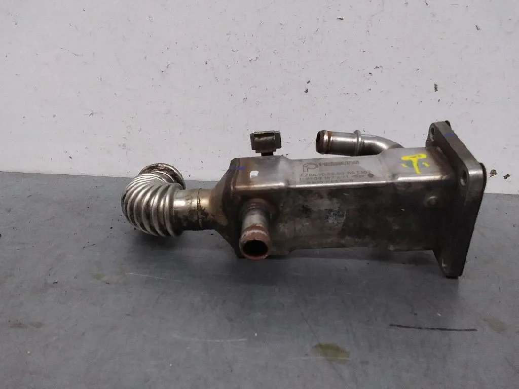 Enfriador Egr para Renault Scenic Ii