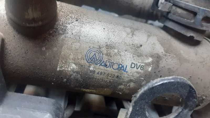 Enfriador Egr para Ford Focus Lim. (Cb4)