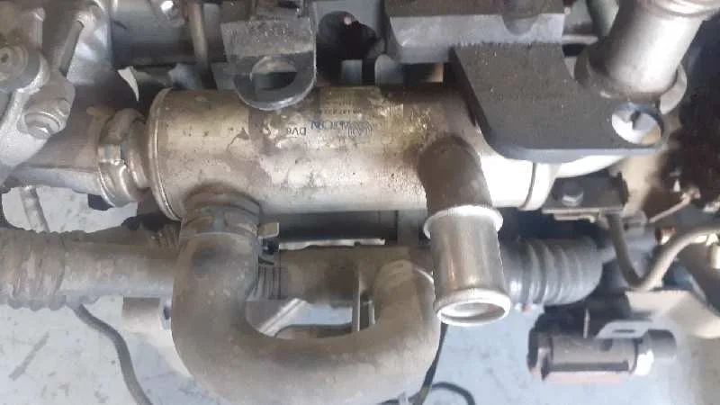 Enfriador Egr para Ford Focus Lim. (Cb4)