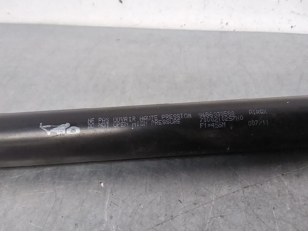 Amortiguadores Maletero / Porton para Peugeot 207 Cc