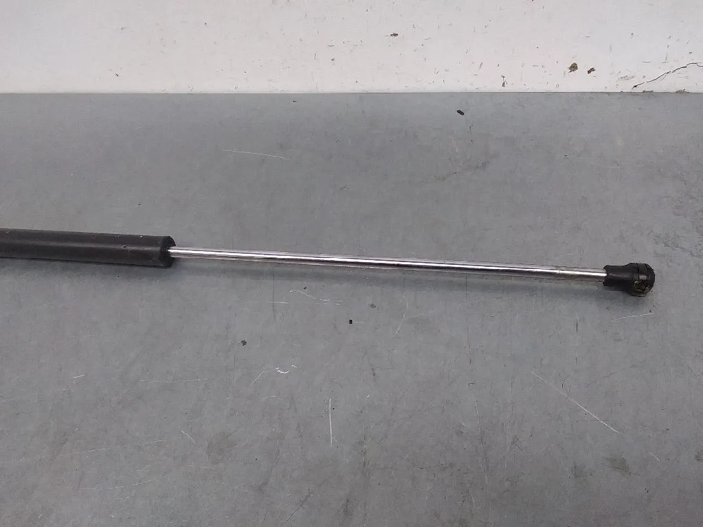 Amortiguadores Maletero / Porton para Peugeot 207 Cc