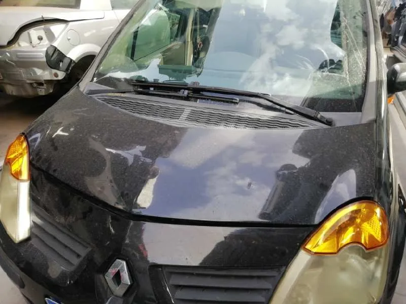 Capot para Renault Modus