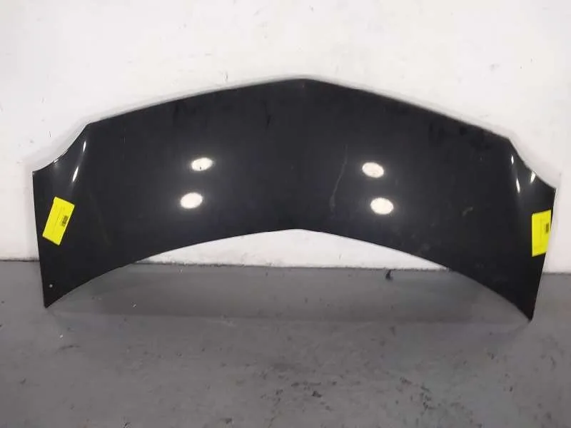 Capot para Renault Modus