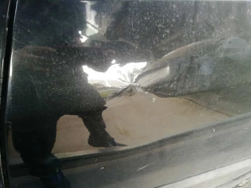 Puerta Trasera Izquierda para Renault Modus