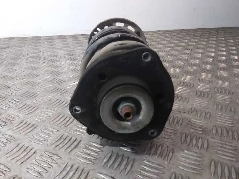 Amortiguador Delantero Izquierdo para Volkswagen Passat Variant (365)