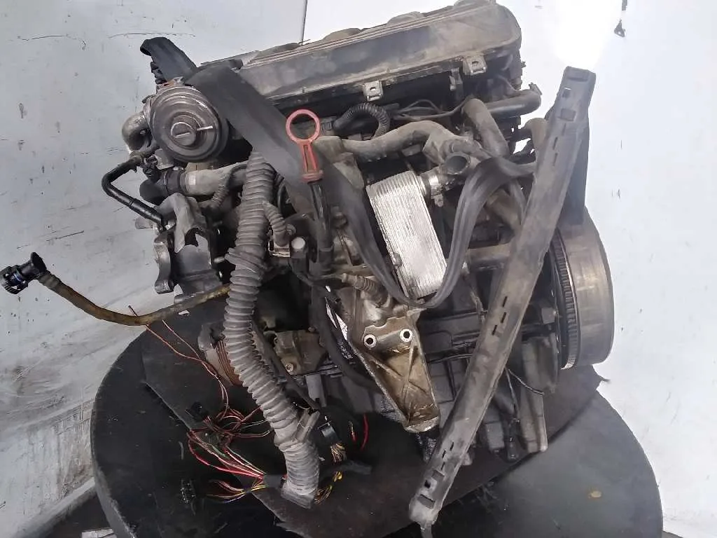 Despiece Motor para Bmw Serie 3 Berlina (E46)