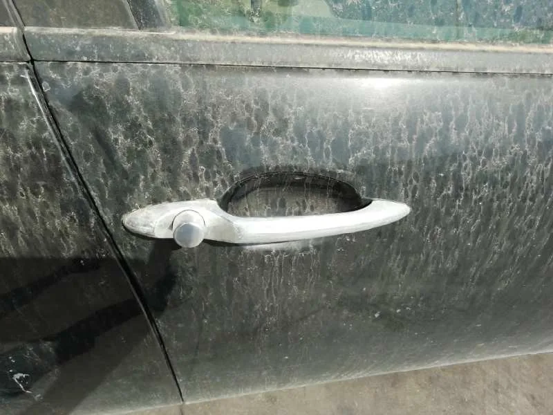 Maneta Exterior Delantera Derecha para Alfa Romeo 156 Sportwagon