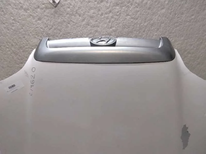 Capot para Hyundai Santa Fe (Sm)