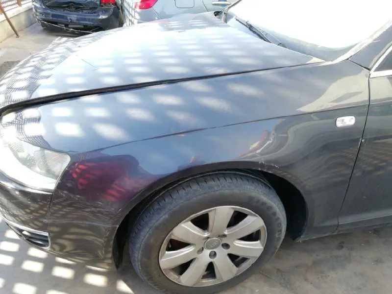 Aleta Delantera Izquierda para Audi A6 Berlina (4F2)