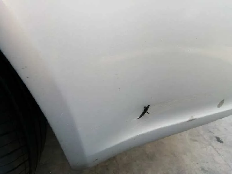 Paragolpes Trasero para Audi A4 Avant (8E)
