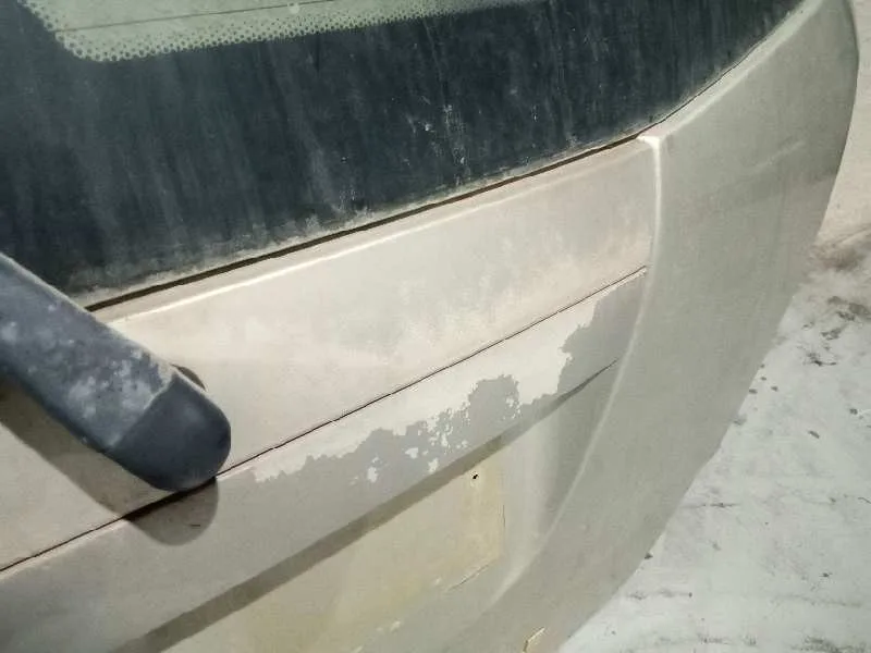Porton Trasero para Ssangyong Rexton