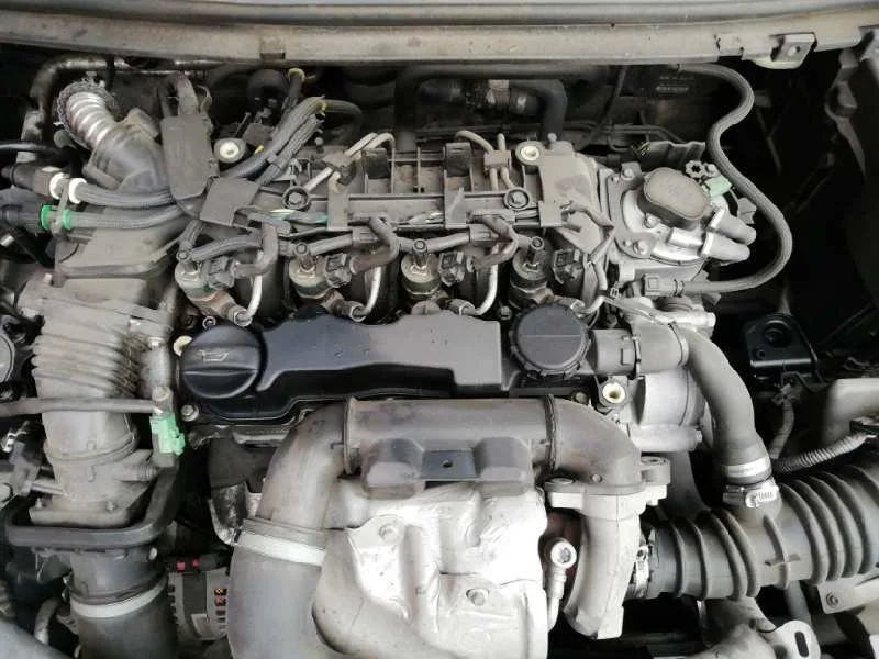 Despiece Motor para Ford Focus Berlina (Cap)