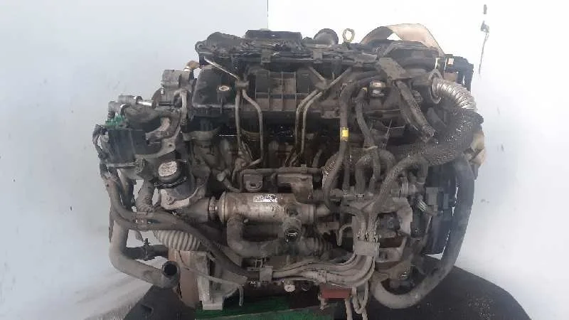 Despiece Motor para Ford Focus Berlina (Cap)