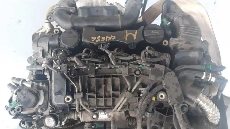 Despiece Motor para Ford Focus Berlina (Cap)