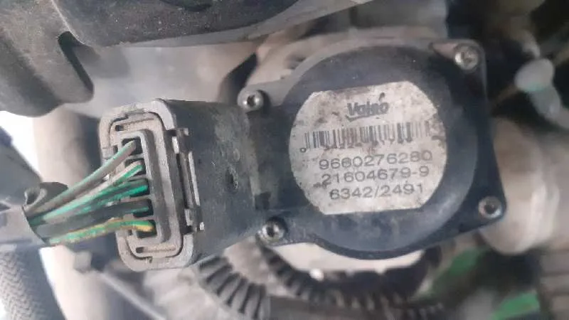 Despiece Motor para Ford Focus Berlina (Cap)