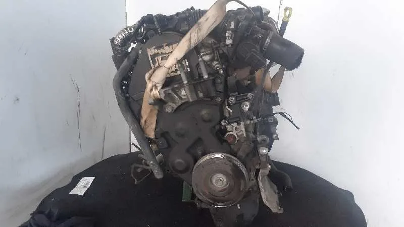 Despiece Motor para Ford Focus Berlina (Cap)