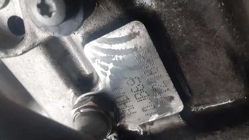 Despiece Motor para Ford Focus Berlina (Cap)