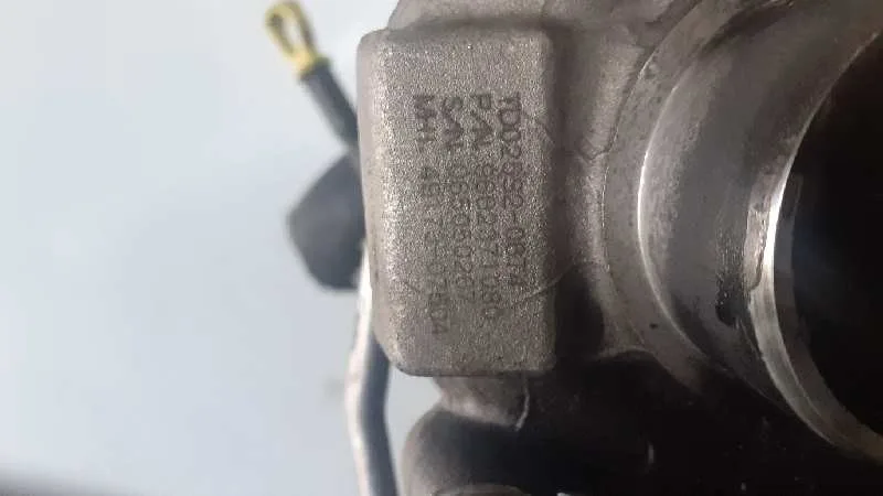 Despiece Motor para Ford Focus Berlina (Cap)