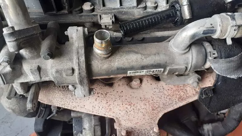 Enfriador Egr para Peugeot Expert Tepee