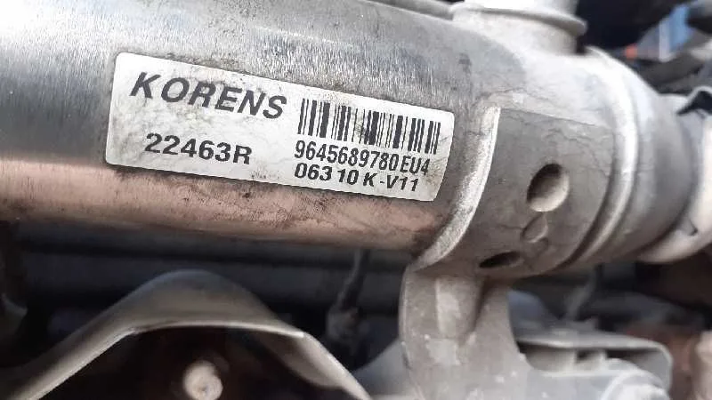 Enfriador Egr para Peugeot Expert Tepee