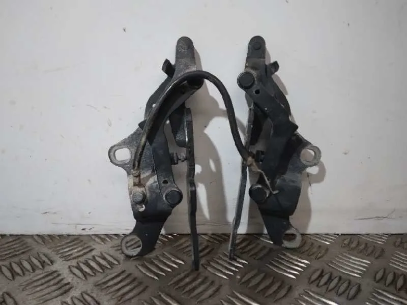 Bisagra Capot para Bmw Serie 3 Touring (E91)