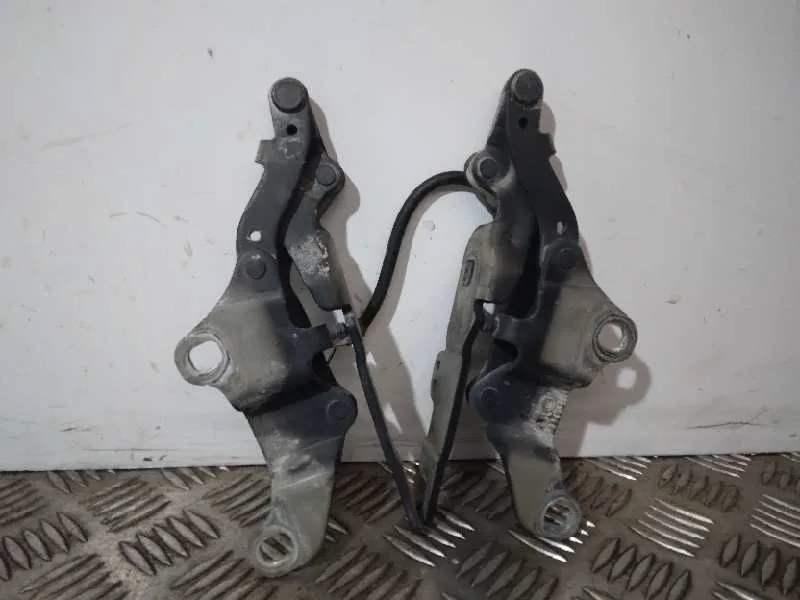 Bisagra Capot para Bmw Serie 3 Touring (E91)