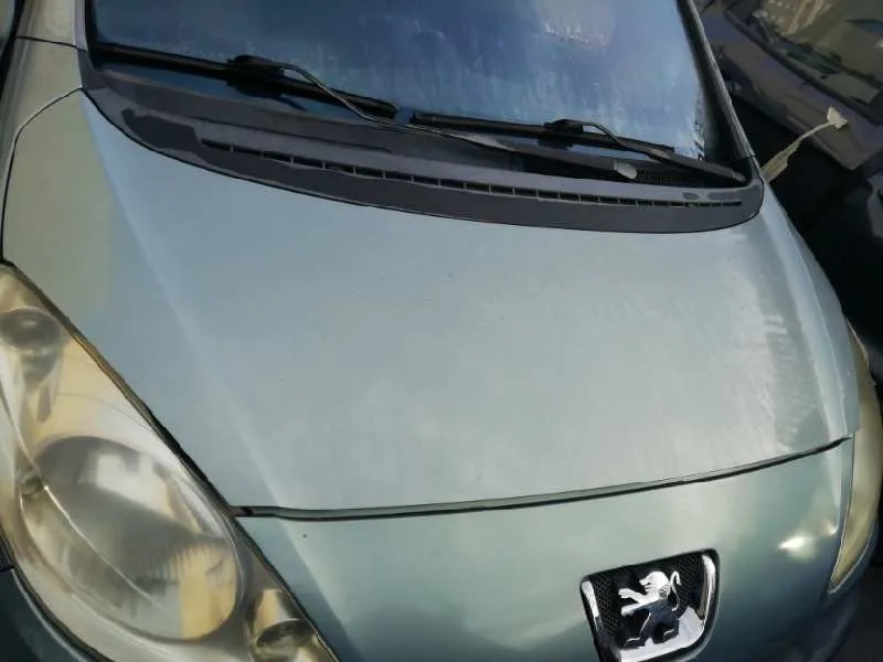 Capot para Peugeot 1007