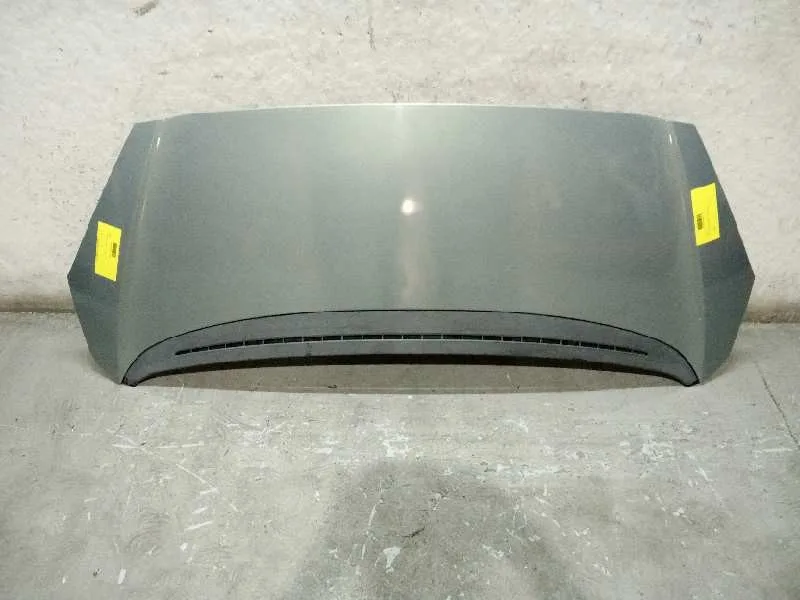 Capot para Peugeot 1007