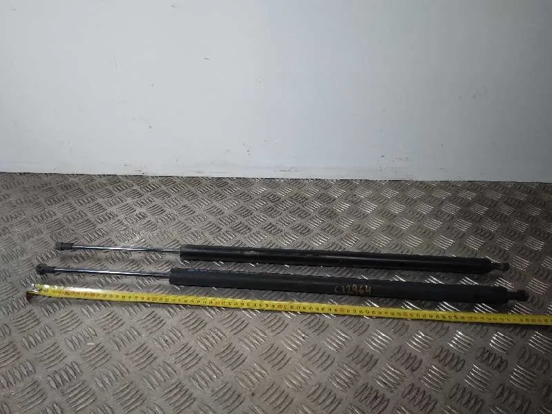 Amortiguadores Maletero / Porton para Nissan Nv 200 (M20)
