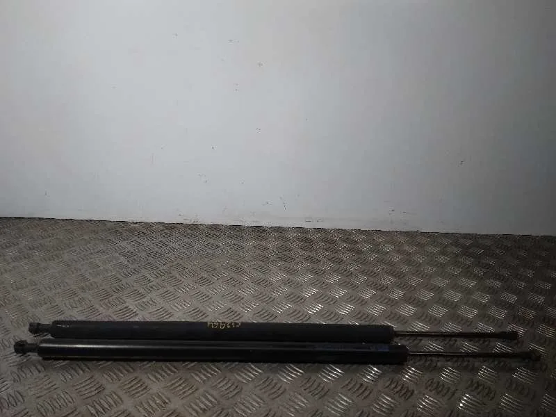 Amortiguadores Maletero / Porton para Nissan Nv 200 (M20)