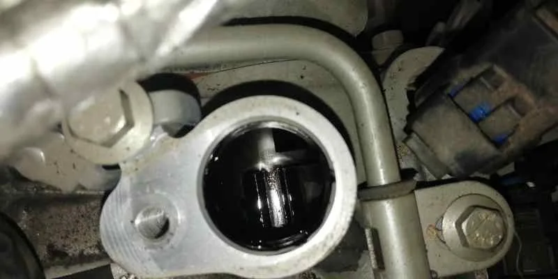 Despiece Motor para Nissan Qashqai (J10)