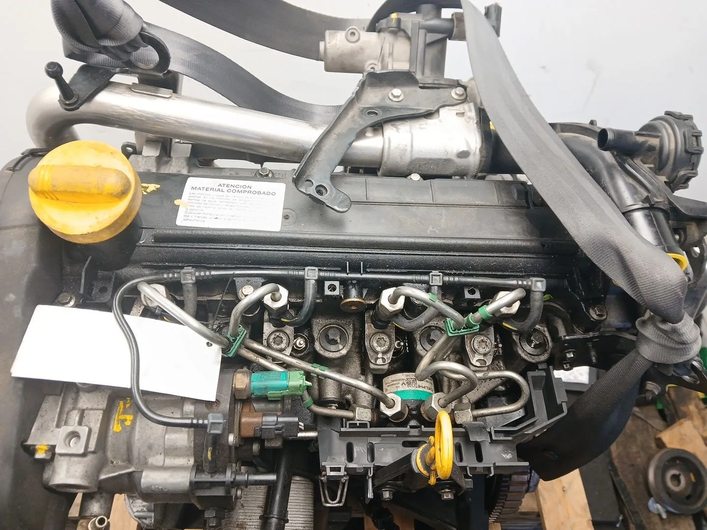Despiece Motor para Renault Kangoo