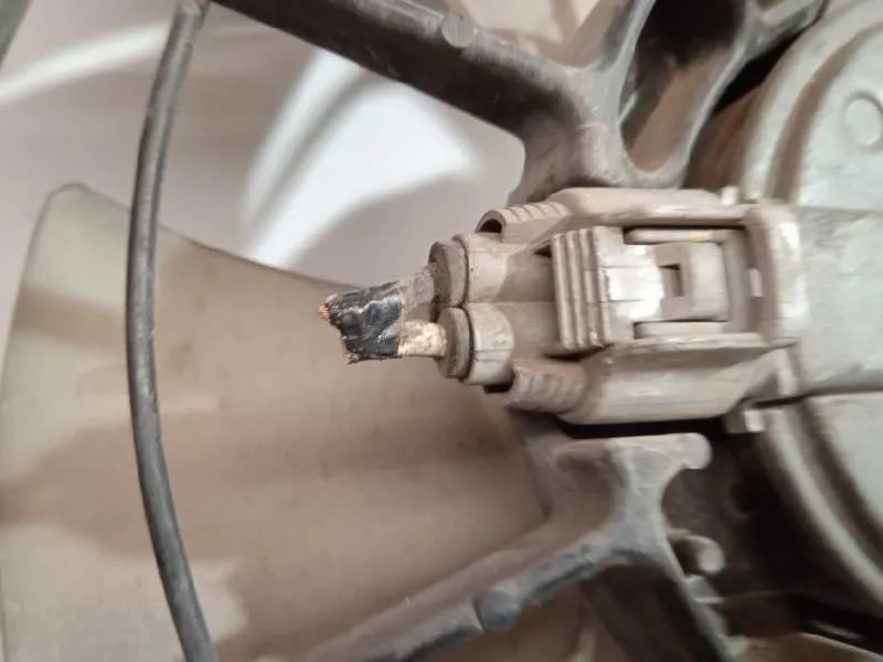 Electroventilador para Toyota Corolla Verso (R1)