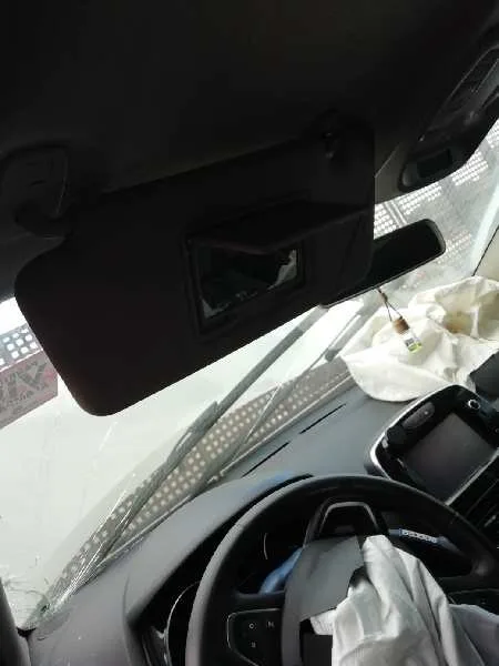 Parasol Izquierdo para Renault Clio Iv