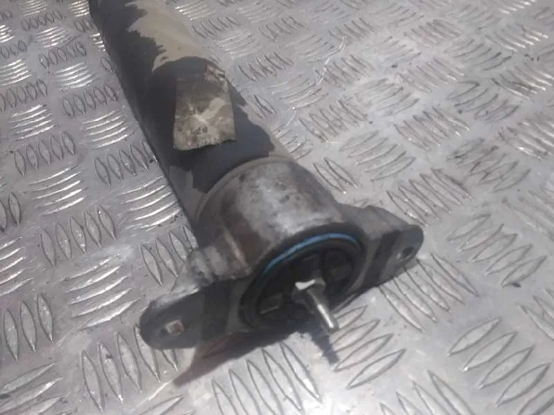 Amortiguador Trasero Derecho para Ford C-Max