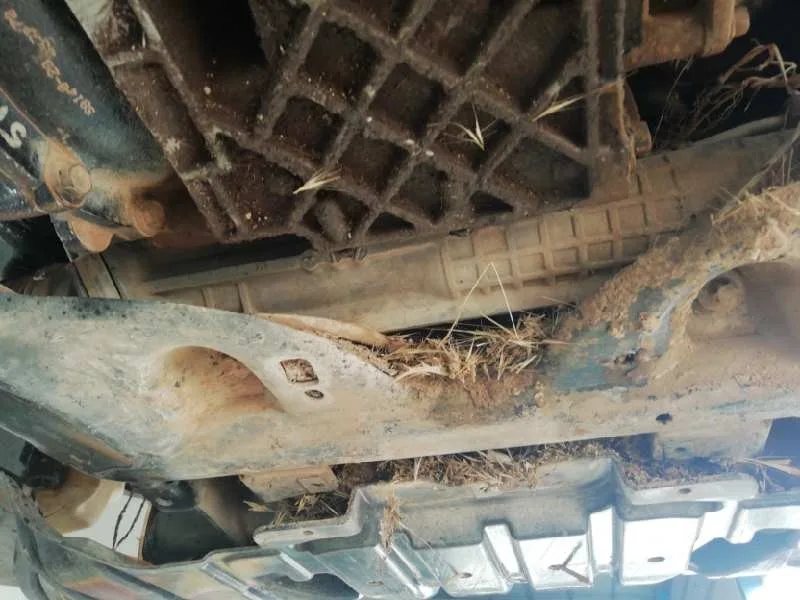 Cremallera Direccion para Land Rover Range Rover (Lm)