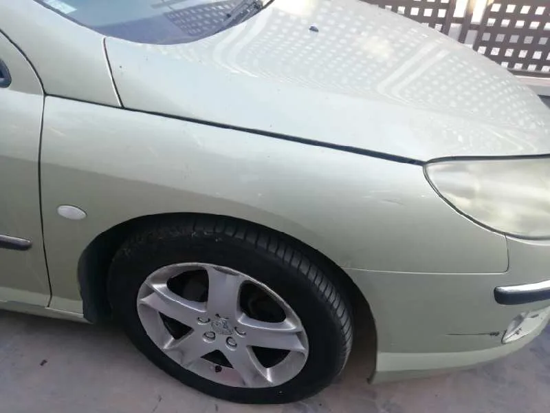 Aleta Delantera Derecha para Peugeot 407