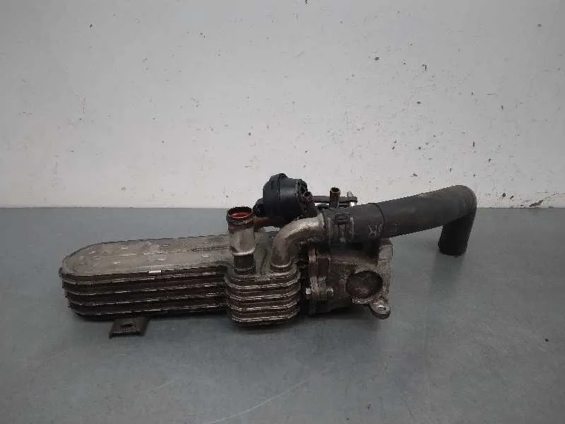 Enfriador Egr para Volkswagen Golf V Berlina (1K1)