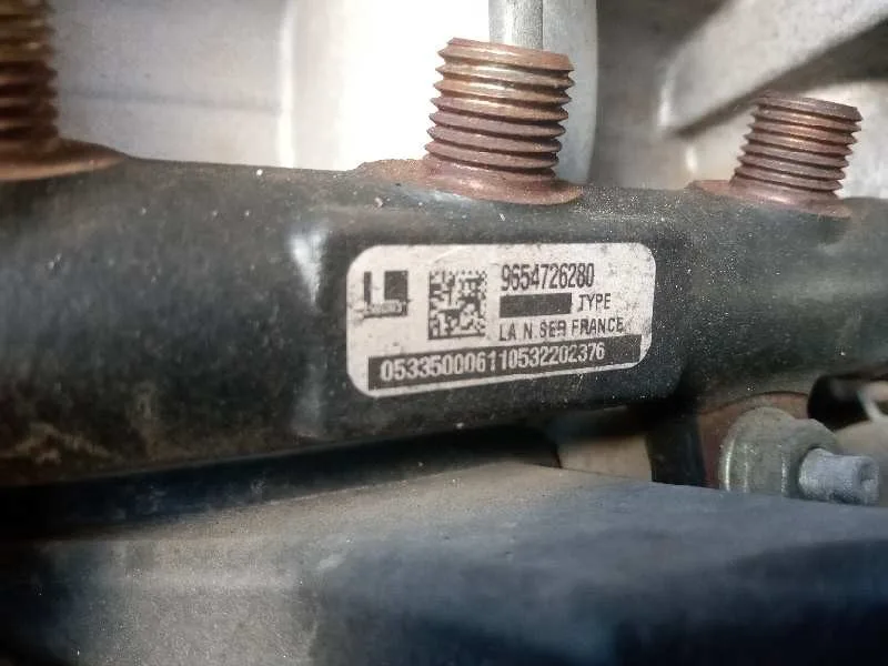 Rampa Inyectora para Peugeot 407