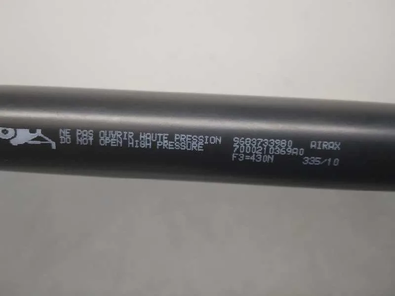 Amortiguadores Maletero / Porton para Citroën C3
