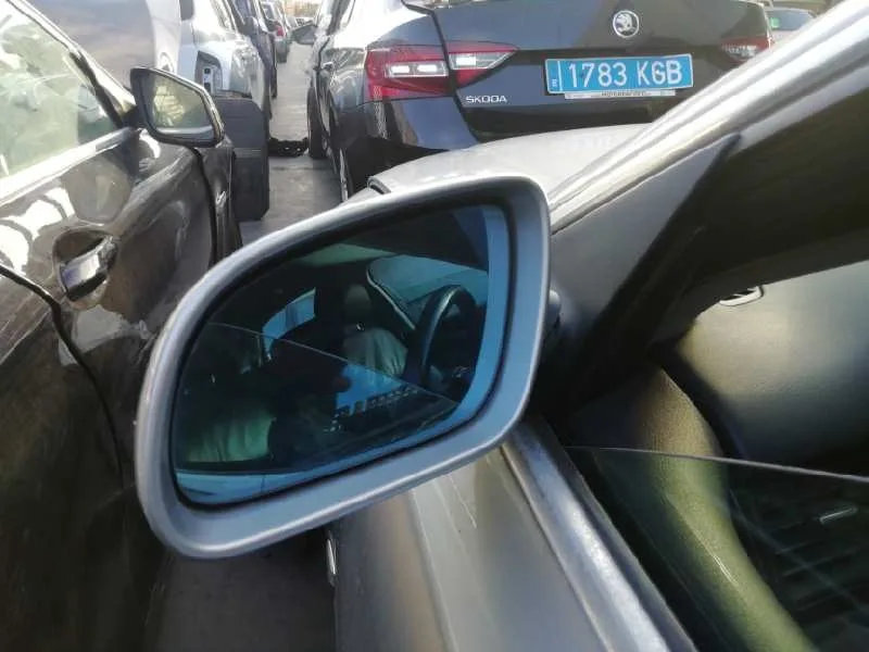 Retrovisor Izquierdo para Audi A8 (4E2)