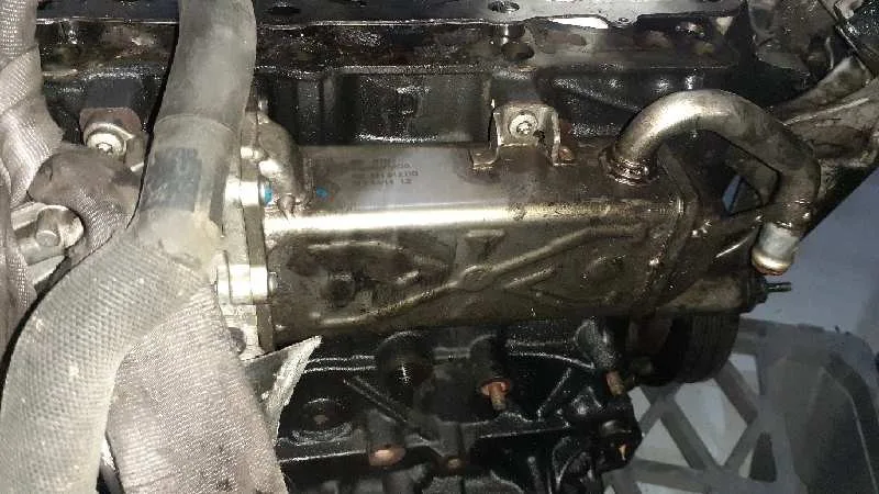 Enfriador Egr para Audi A3 (8P)