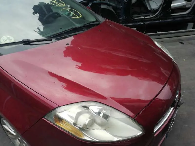 Capot para Fiat Bravo (198)
