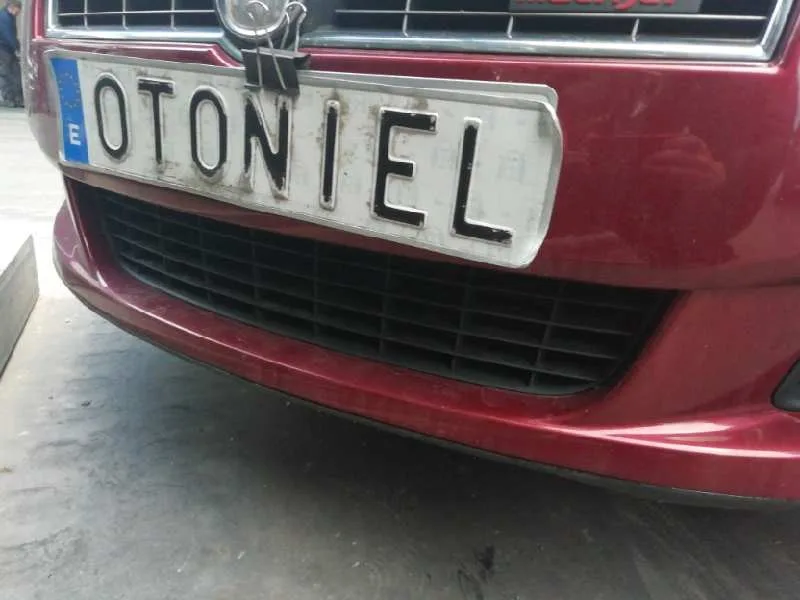Paragolpes Delantero para Fiat Bravo (198)
