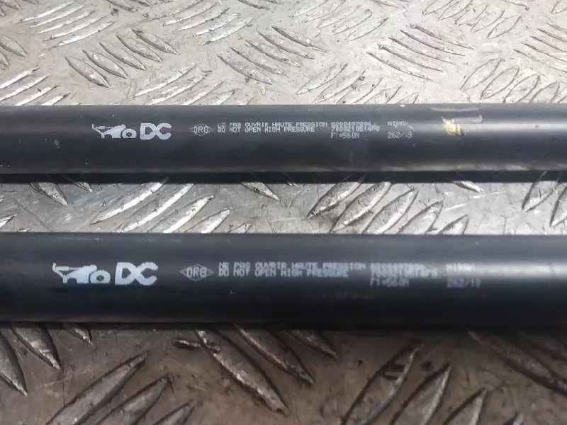 Amortiguadores Maletero / Porton para Renault Kangoo