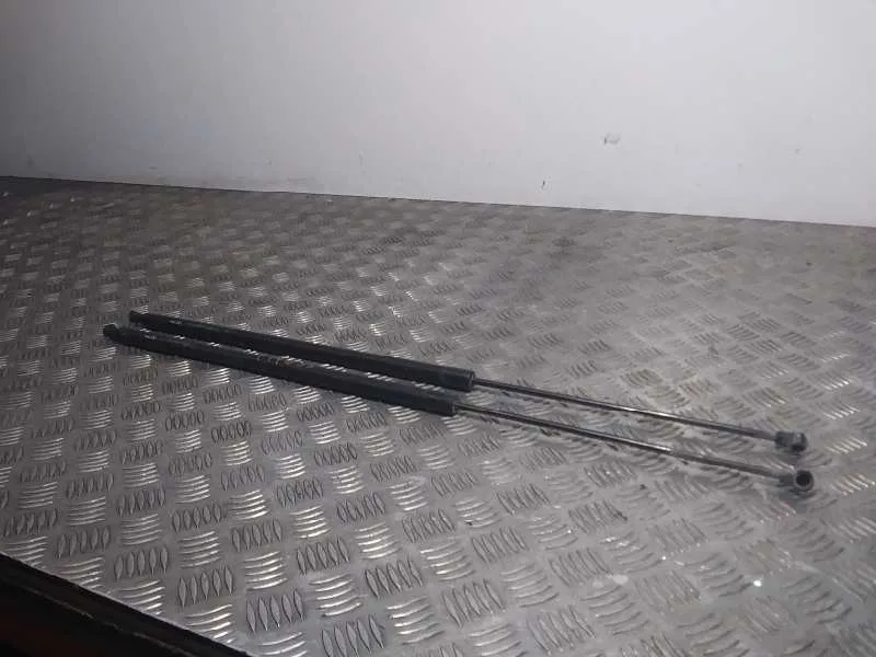 Amortiguadores Maletero / Porton para Renault Kangoo