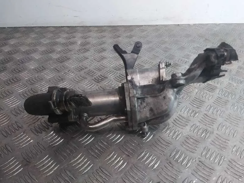 Enfriador Egr para Renault Scenic Ii