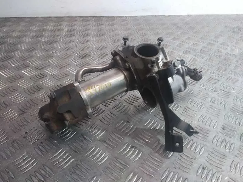 Enfriador Egr para Renault Scenic Ii