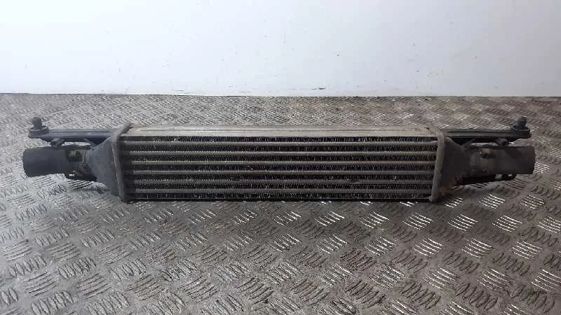 Intercooler para Fiat Punto (Evo) (199)